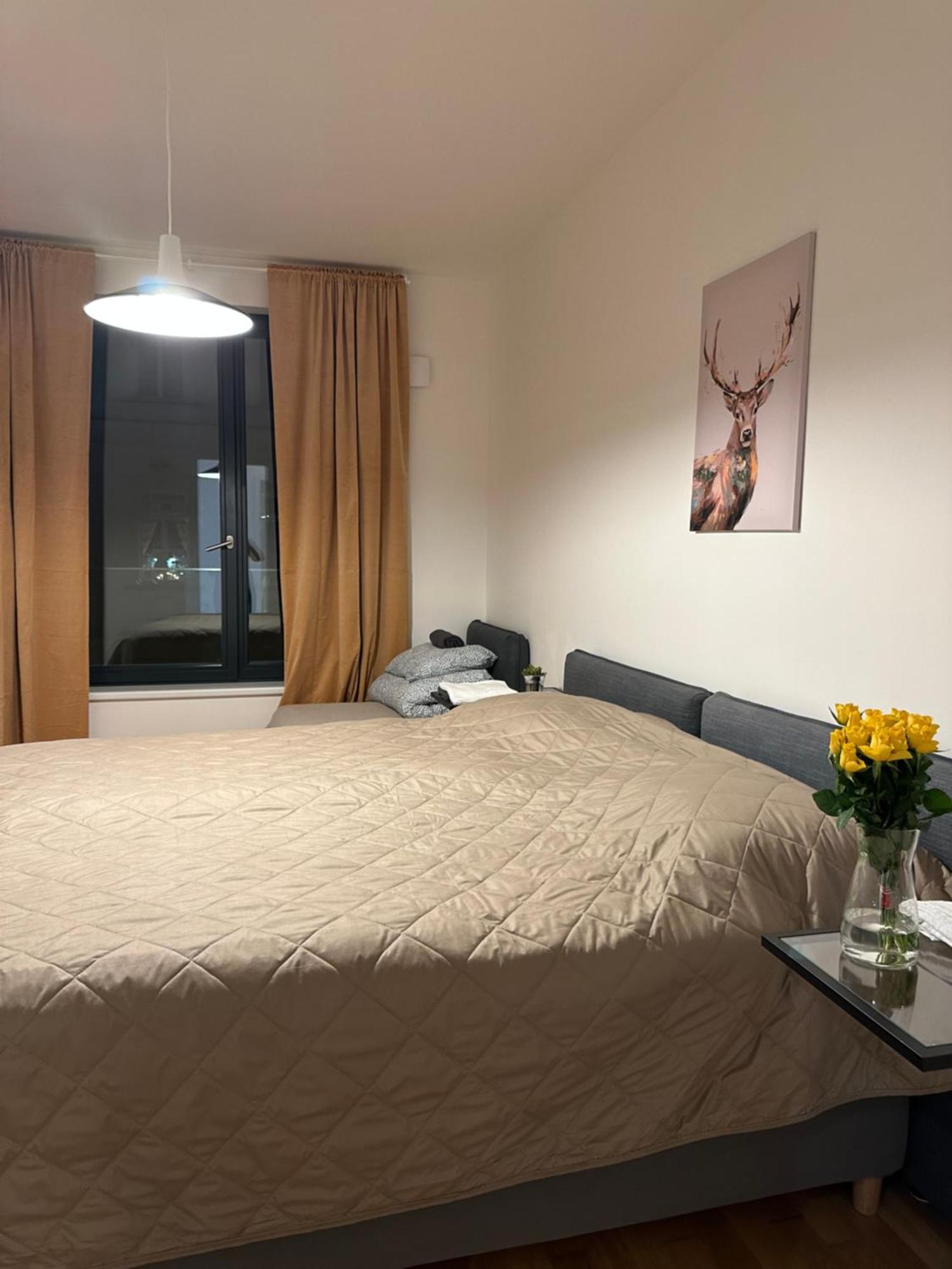 Apartment 4 Room, 2 Bath, Parking Praha Exteriér fotografie